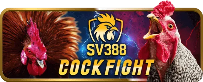Đội ngũ hỗ trợ khách hàng 24/7 của Win98